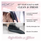 Load image into Gallery viewer, Exfoliating Scalp Brush - Seraphic Skincare