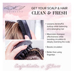 Cargar imagen en el visor de la Galería, Wet + Dry Scalp Exfoliator Duo - Seraphic Skincare